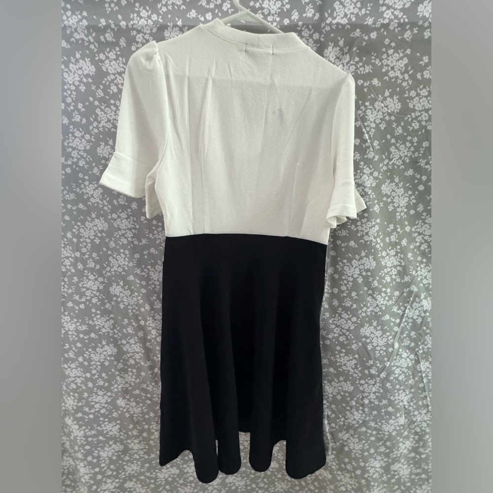 Ranphee classic fashion dress. Black and white with a side zipper. Size M